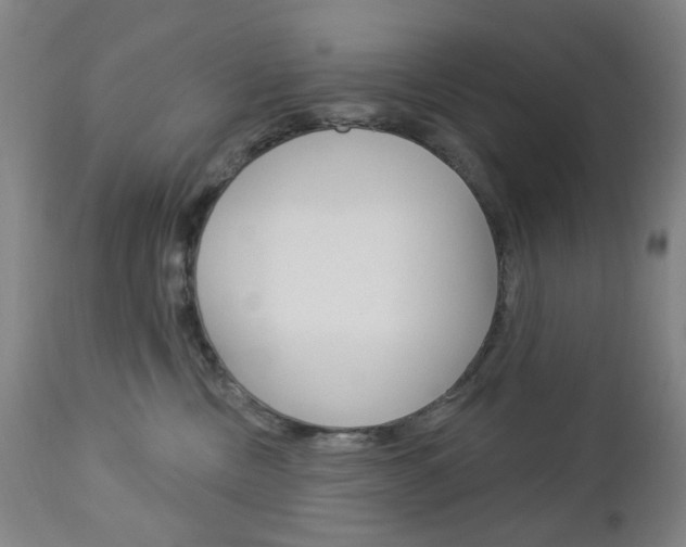X0000113130378200909040939