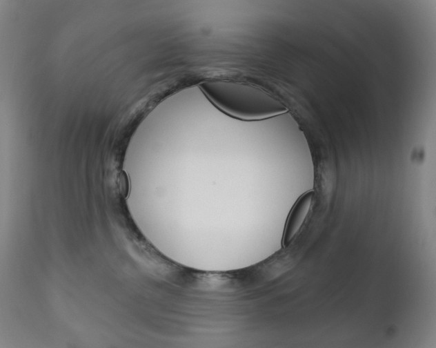 X0000113130380200909040939