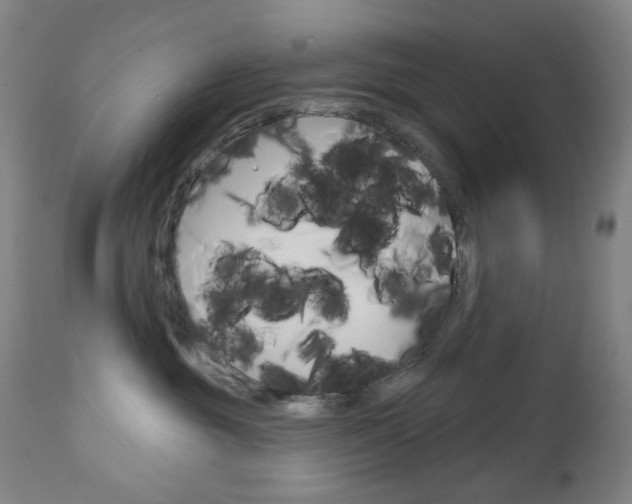 X0000113130381200909040939