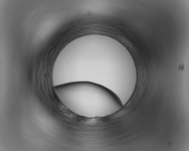 X0000113130382200909040939