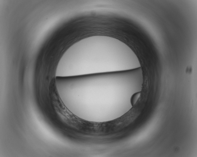 X0000113130383200909040939