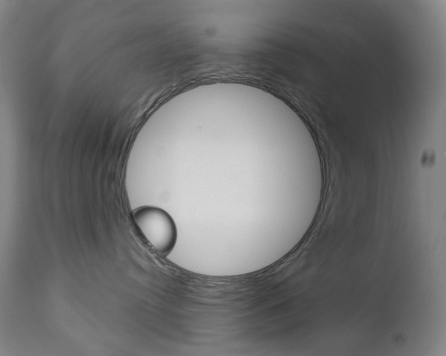 X0000113130384200909040939