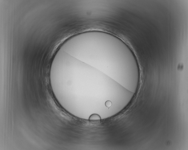 X0000113130386200909040938