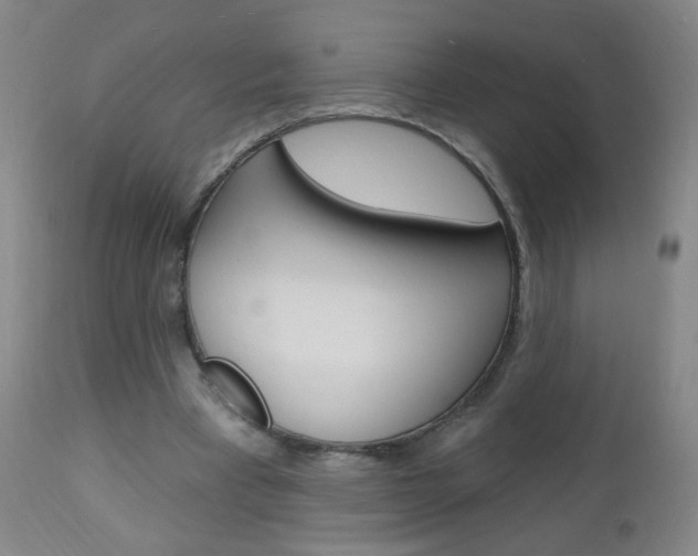 X0000113130393200909040938