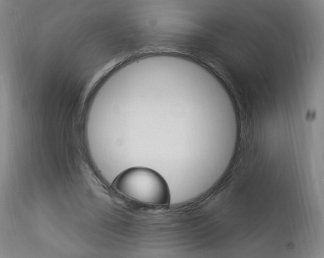 X0000113130395200909040938
