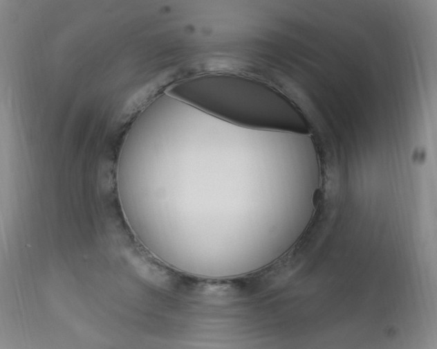 X0000113130401200909040938
