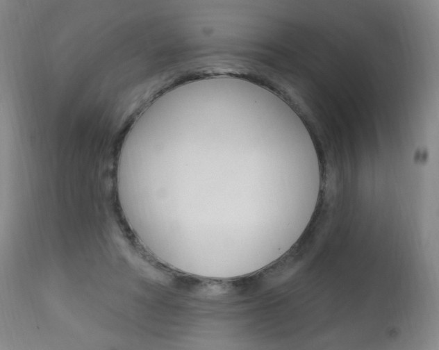 X0000113130402200909040938