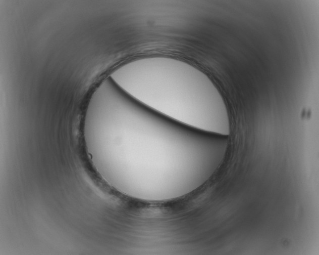 X0000113130404200909040938