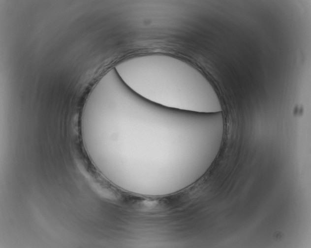 X0000113130406200909040938