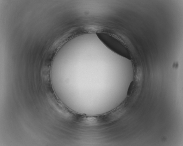 X0000113130409200909040938