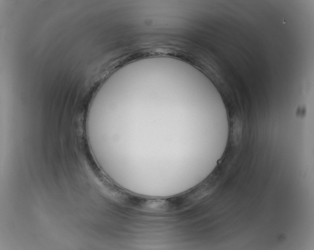 X0000113130410200909040938