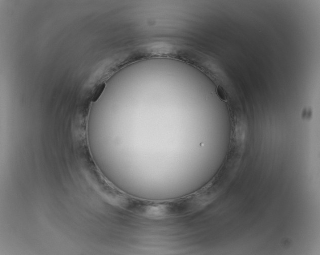 X0000113130411200909040938