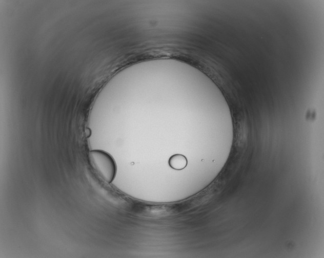 X0000113130414200909040938