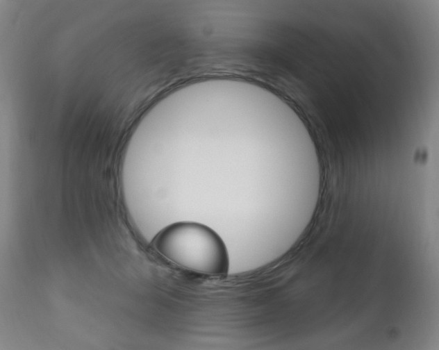 X0000113130415200909040938