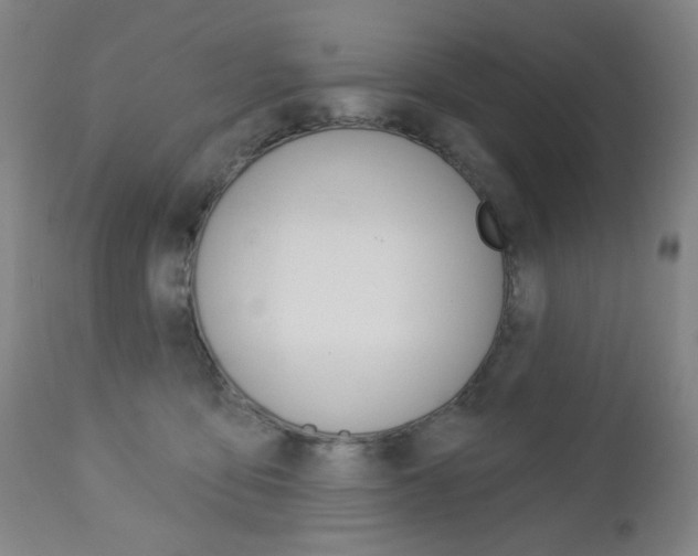 X0000113130419200909040938