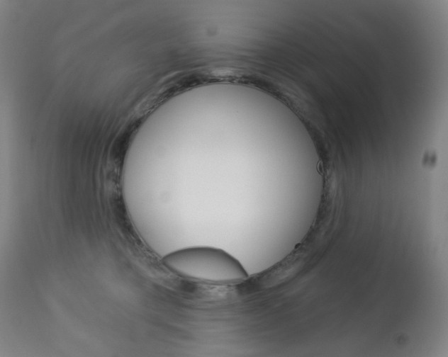 X0000113130421200909040938