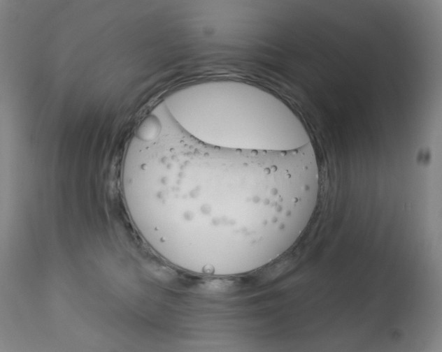 X0000113130422200909040938