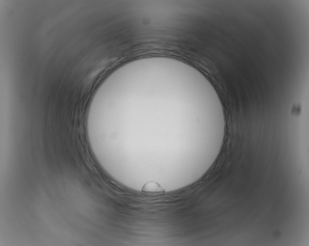X0000113130423200909040938