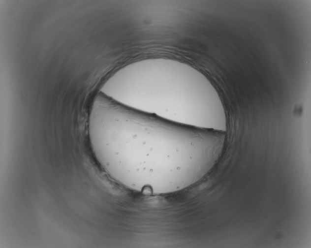 X0000113130424200909040938