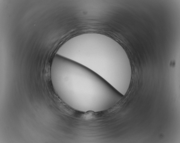 X0000113130425200909040938