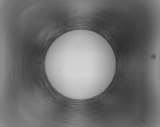 X0000113130427200909040938