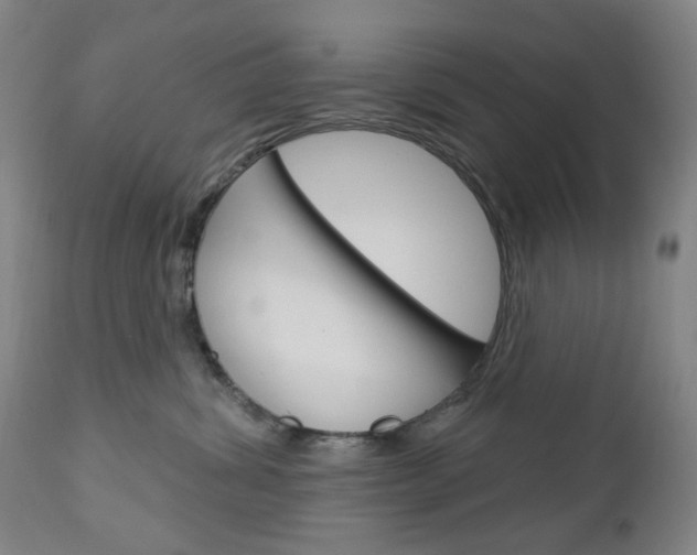 X0000113130428200909040938