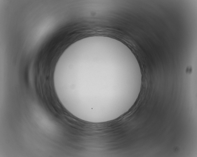 X0000113130429200909040938