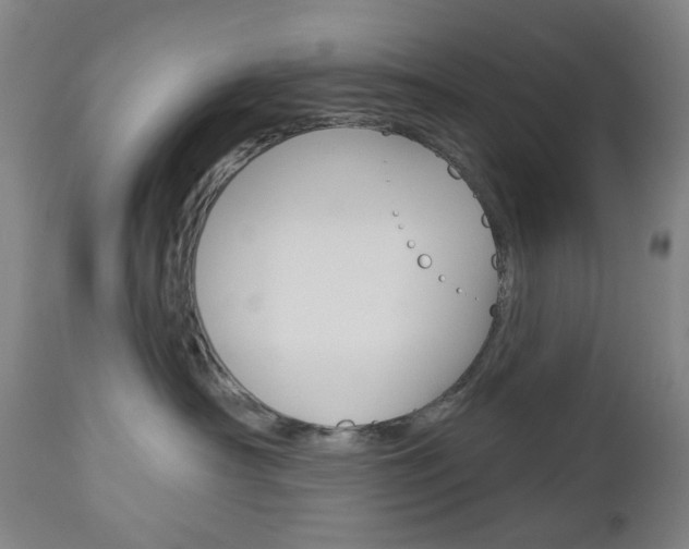 X0000113130430200909040938