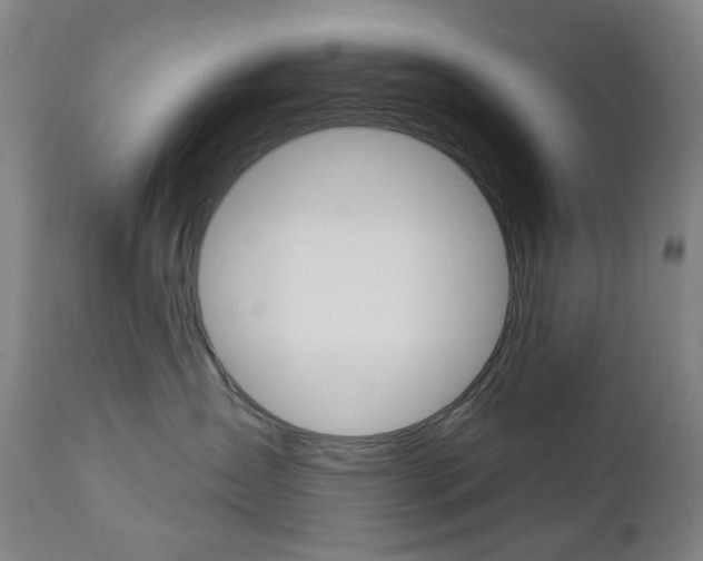 X0000113130431200909040938
