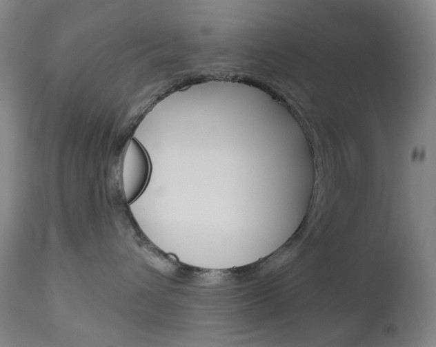 X0000113130432200909040938