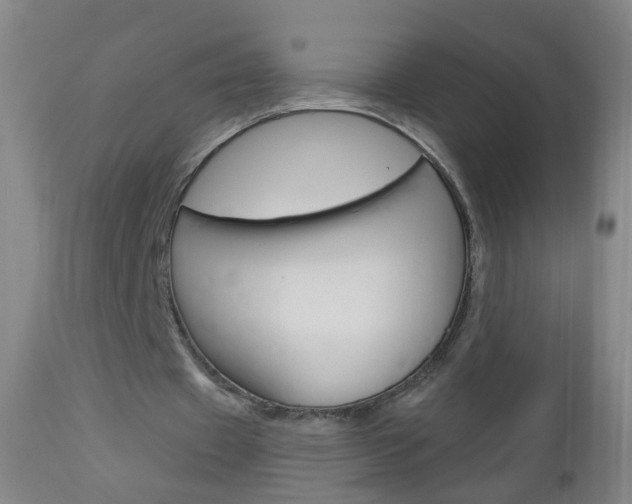 X0000113130433200909040937
