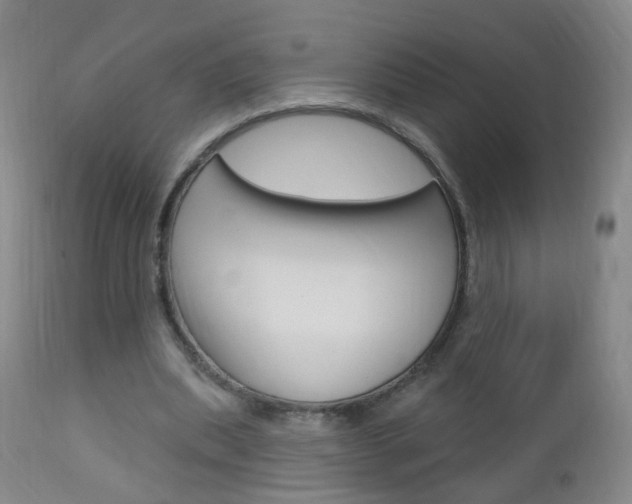 X0000113130439200909040937