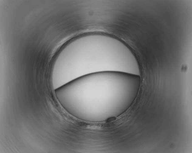 X0000113130440200909040937