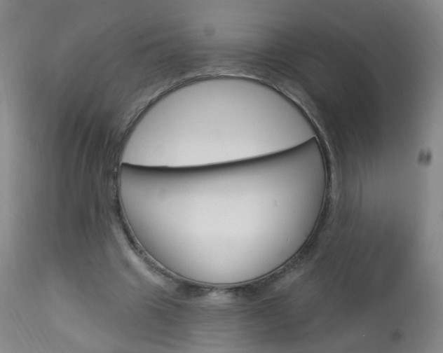 X0000113130441200909040937