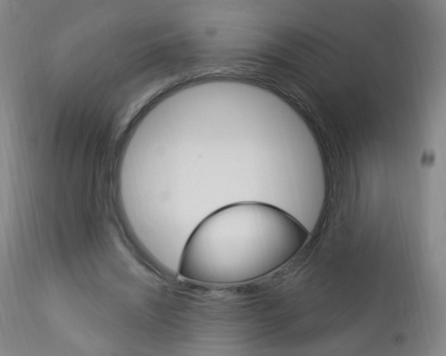 X0000113130444200909040937
