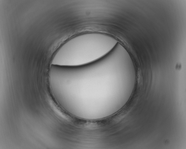 X0000113130445200909040937