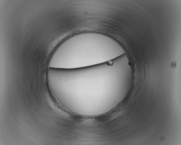 X0000113130446200909040937