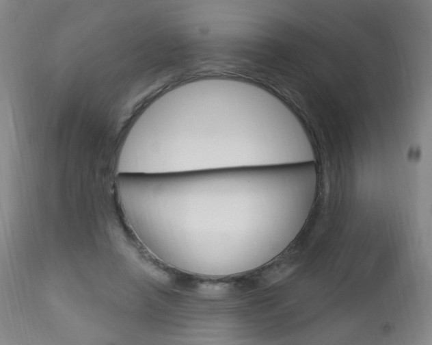 X0000113130450200909040937