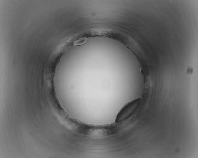 X0000113130452200909040937