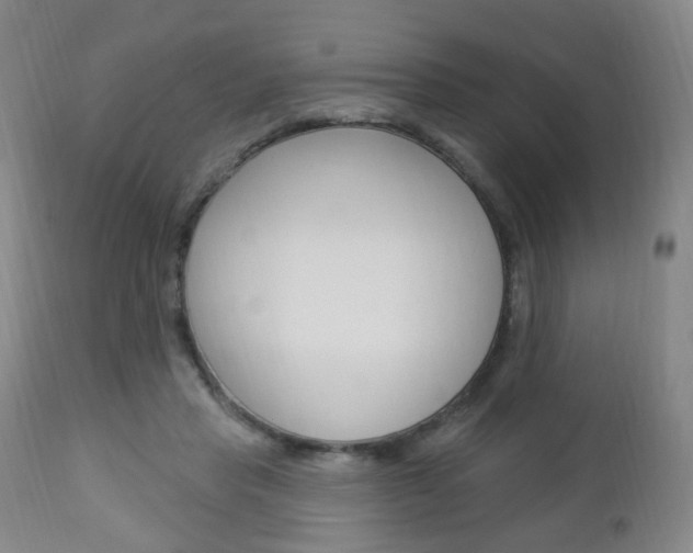 X0000113130453200909040937