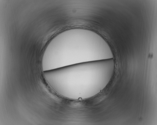 X0000113130454200909040937