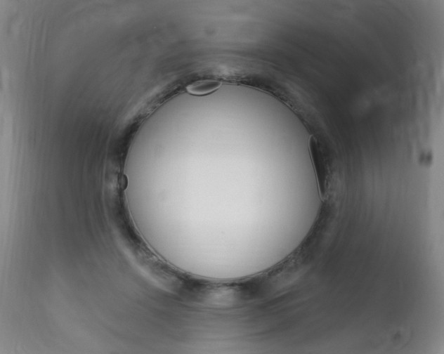 X0000113130456200909040937