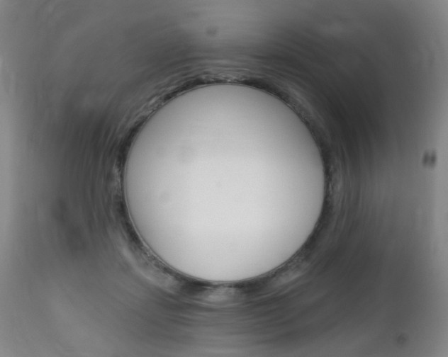 X0000113130459200909040937