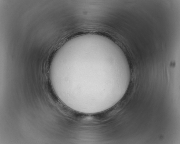 X0000113130460200909040937