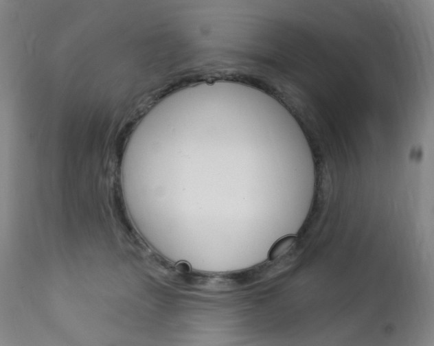X0000113130463200909040937