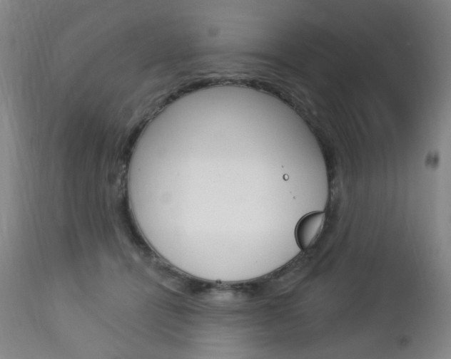 X0000113130464200909040937
