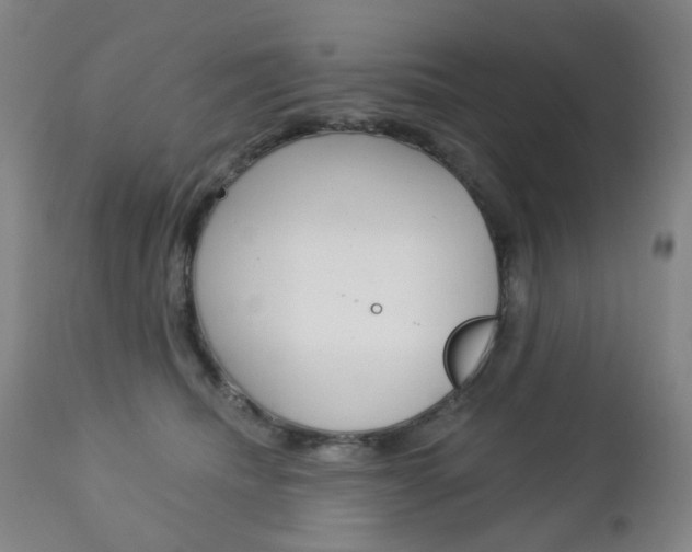 X0000113130468200909040937