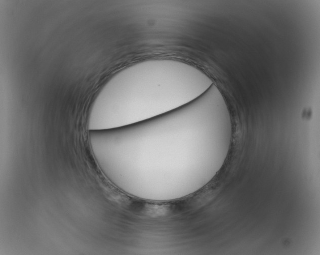 X0000113130469200909040938