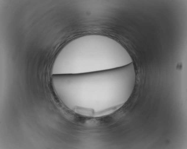 X0000113130470200909040938