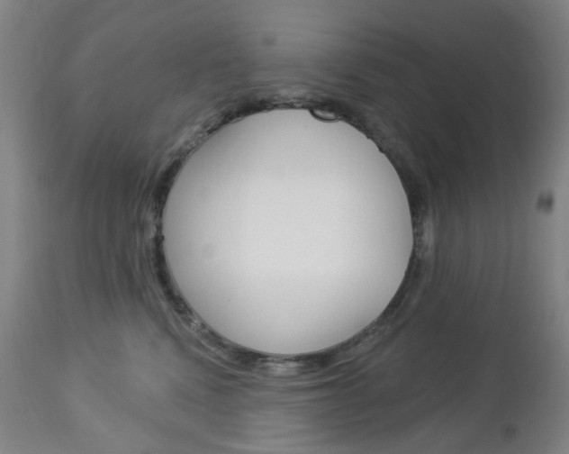 X0000113130472200909040938